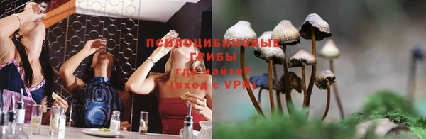 дмт Аркадак
