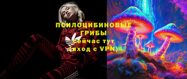 PSILOCYBIN Арсеньев