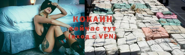 дмт Аркадак