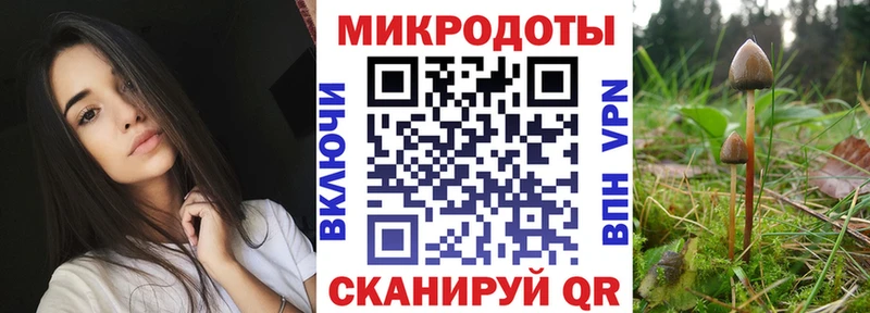 магазин продажи   Тарко-Сале  Галлюциногенные грибы прущие грибы 